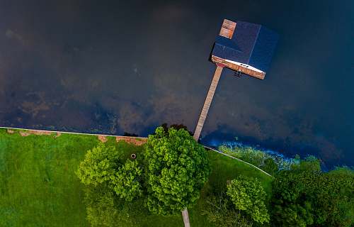 guntersville lake blue wooden house on body of water near green trees trees